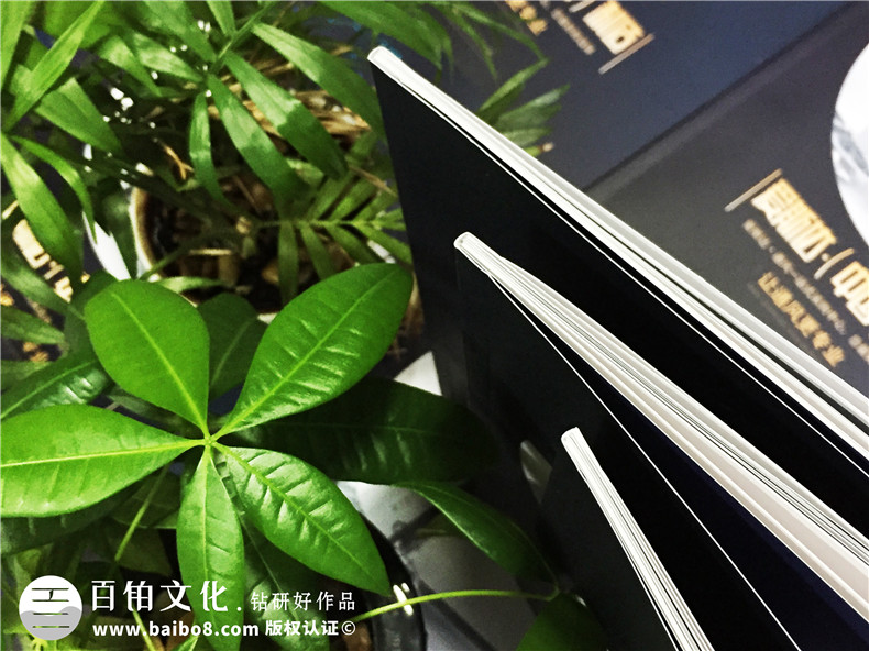 通風(fēng)節能電扇產(chǎn)品宣傳冊設計-工業(yè)科技制作公司樣本畫(huà)冊如何制作?