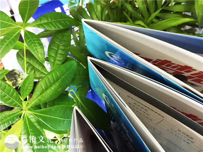 學(xué)校招生簡(jiǎn)章宣傳冊設計-畫(huà)冊設計制作
