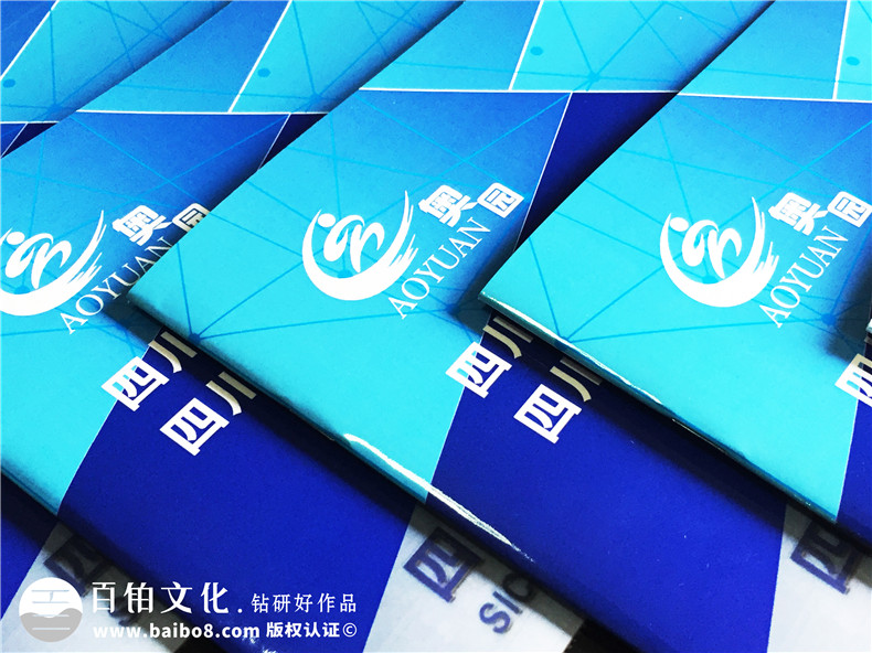 學(xué)校招生簡(jiǎn)章宣傳冊設計-畫(huà)冊設計制作