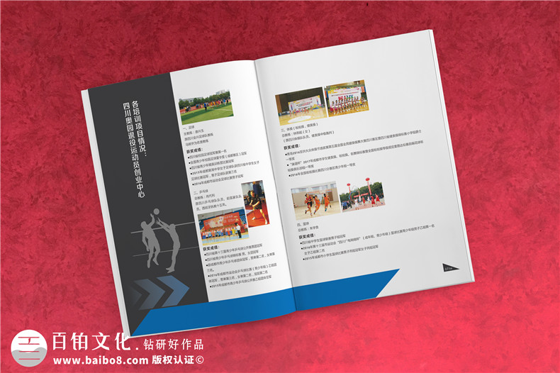 學(xué)校招生簡(jiǎn)章宣傳冊設計-畫(huà)冊設計制作