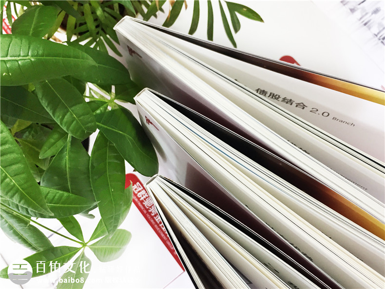金融控股企業(yè)宣傳冊設計-資本管理公司畫(huà)冊制作-投資機構宣傳冊