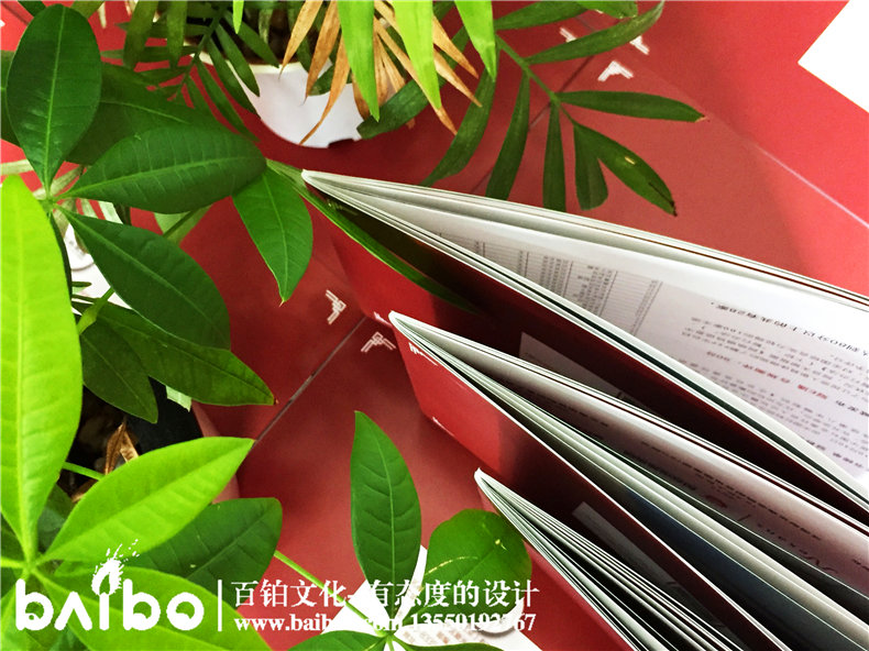 資金管理投資公司業(yè)務(wù)宣傳手冊樣本設計-金融控股企業(yè)畫(huà)冊印刷制作