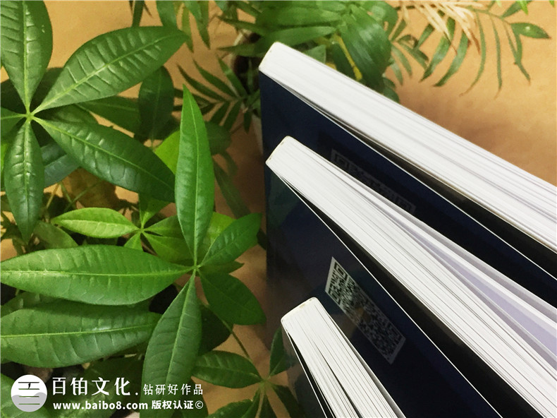 欣雅佳裝飾-家具畫(huà)冊設計-全屋定制宣傳冊制作