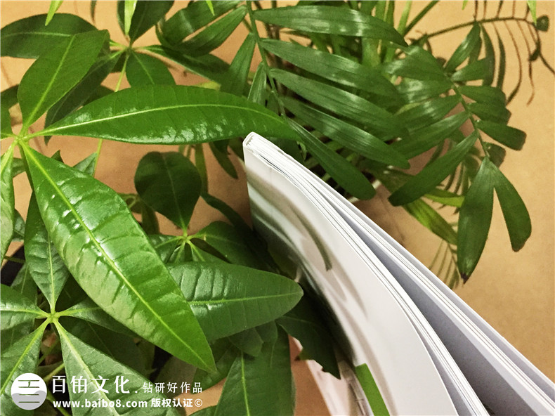 醫院宣傳冊設計-醫療器械畫(huà)冊制作