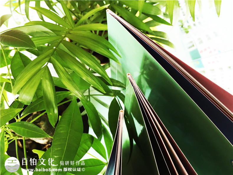 學(xué)校宣傳冊設計-江西撫州宣傳畫(huà)冊制作公司