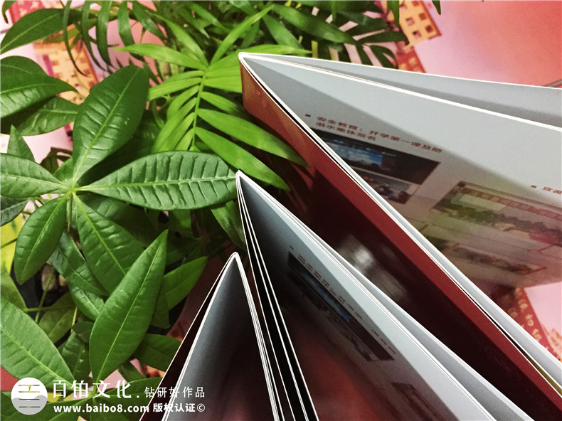 教育培訓機構宣傳冊設計-學(xué)校畫(huà)冊制作