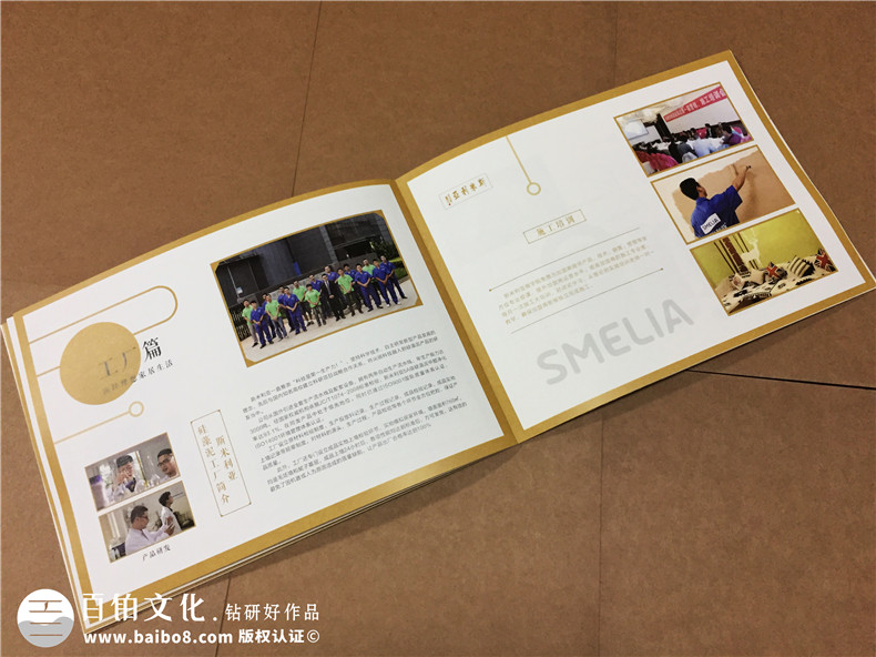 成都畫(huà)冊設計公司哪家好-硅藻泥行業(yè)宣傳冊