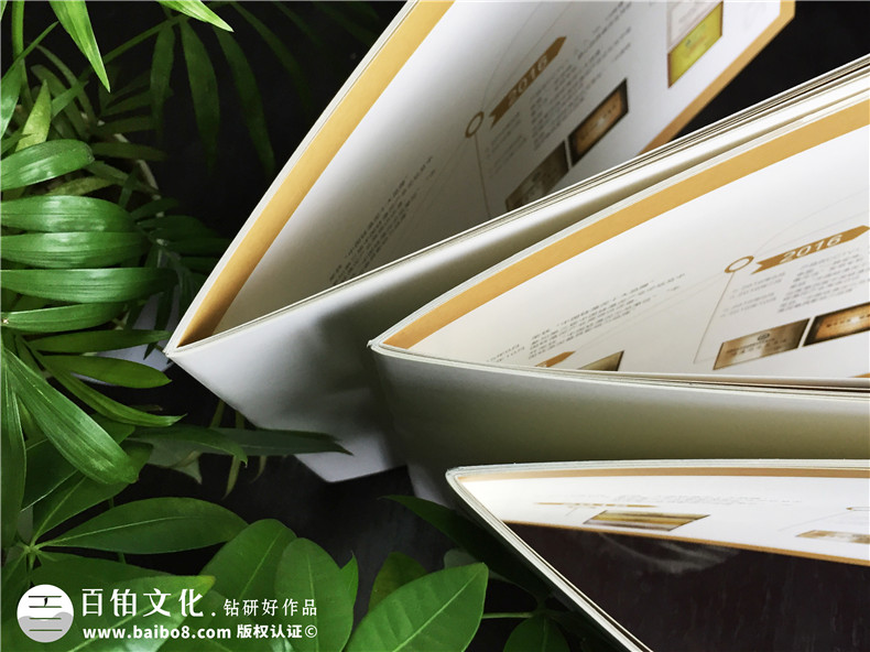 成都畫(huà)冊設計公司哪家好-硅藻泥行業(yè)宣傳冊