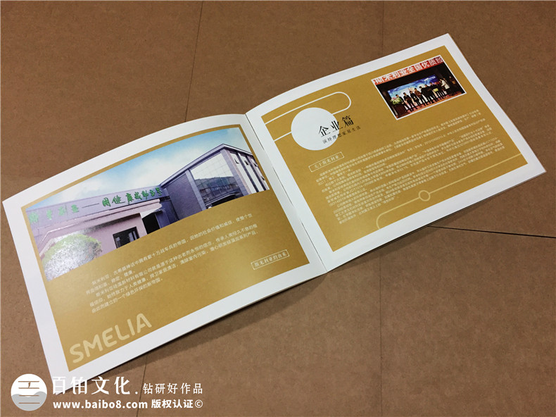成都畫(huà)冊設計公司哪家好-硅藻泥行業(yè)宣傳冊