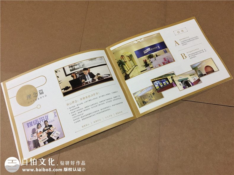 成都畫(huà)冊設計公司哪家好-硅藻泥行業(yè)宣傳冊