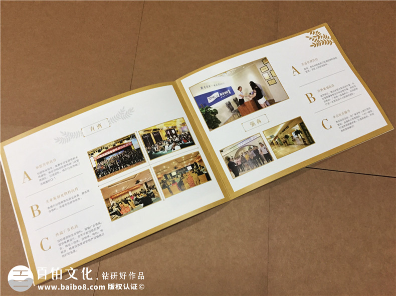 成都畫(huà)冊設計公司哪家好-硅藻泥行業(yè)宣傳冊