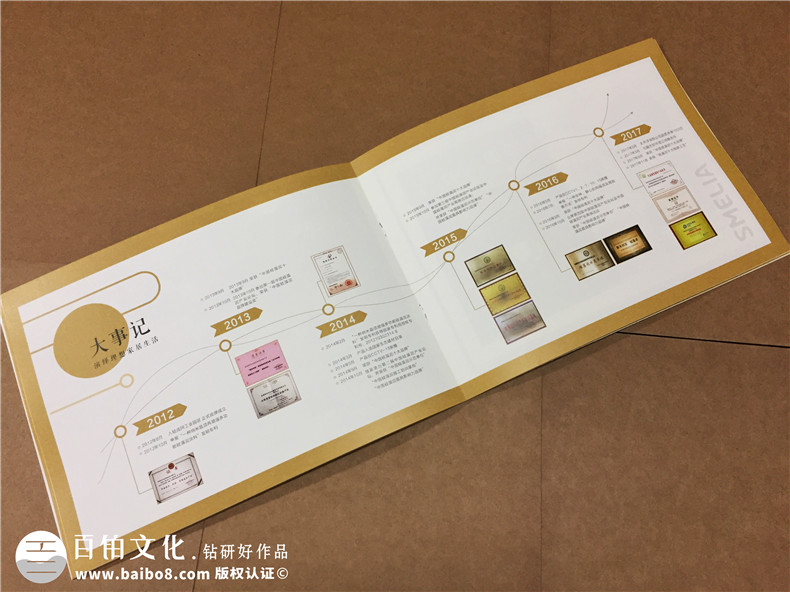 成都畫(huà)冊設計公司哪家好-硅藻泥行業(yè)宣傳冊