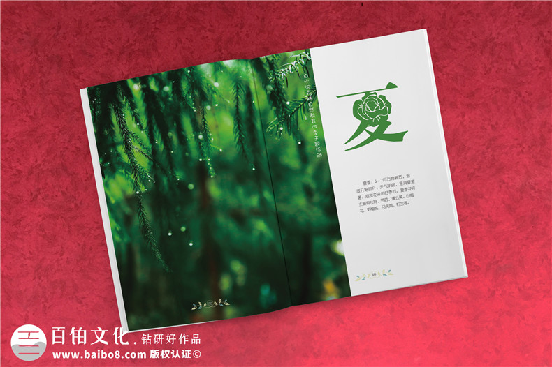 景區宣傳畫(huà)冊?xún)软?yè)版式設計-旅游景點(diǎn)森林自然資源教育手冊怎么做?