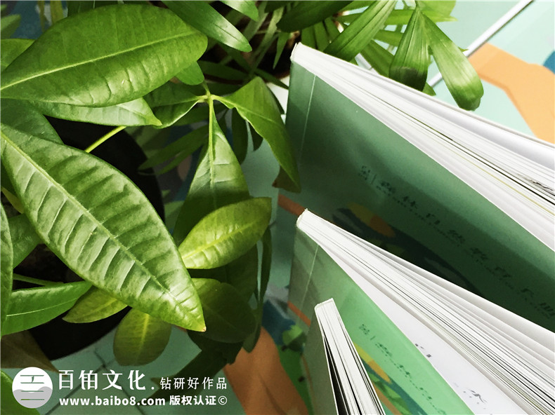 景區宣傳畫(huà)冊?xún)软?yè)版式設計-旅游景點(diǎn)森林自然資源教育手冊怎么做?