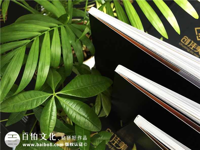 鋁合金門(mén)窗廠(chǎng)家做宣傳畫(huà)冊-業(yè)務(wù)產(chǎn)品介紹宣傳冊怎么設計