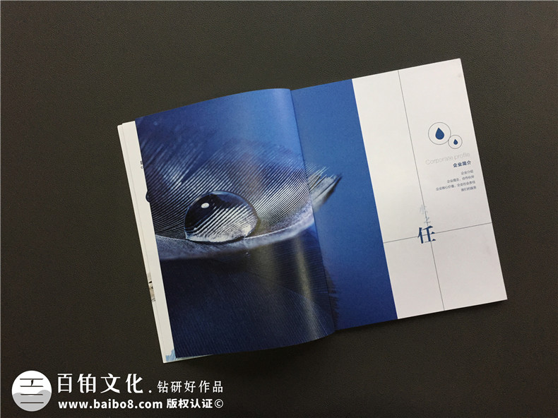 環(huán)保公司宣傳冊設計-污水處理環(huán)保企業(yè)樣本畫(huà)冊設計內容要點(diǎn)