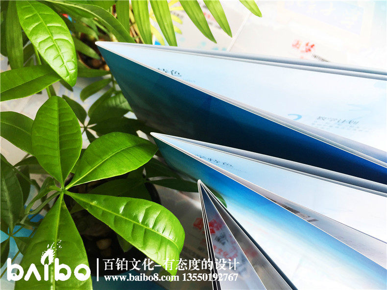 藝術(shù)培訓學(xué)校宣傳冊怎么做-招生畫(huà)冊有哪些板塊