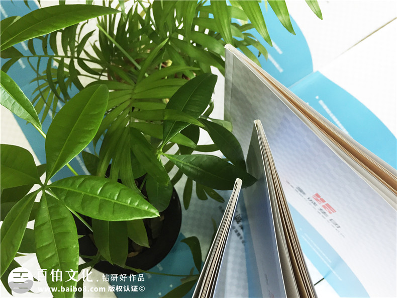 律師事務(wù)所宣傳畫(huà)冊設計-律師團隊企業(yè)簡(jiǎn)介圖冊案例的內容設計思路