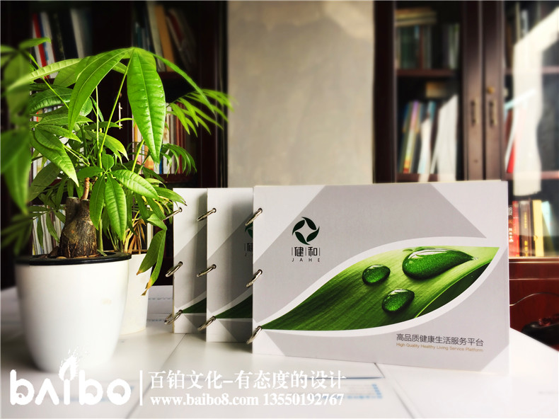 健康管理公司宣傳冊設計-養老咨詢(xún)服務(wù)畫(huà)冊制作
