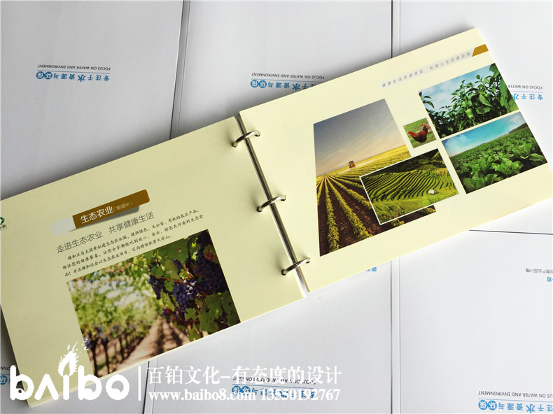 健康管理公司宣傳冊設計-養老咨詢(xún)服務(wù)畫(huà)冊制作