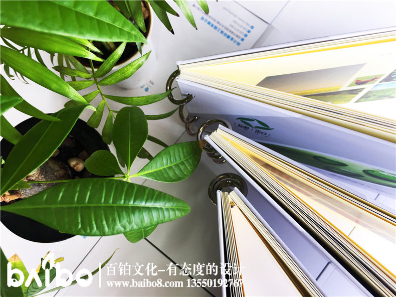 健康管理公司宣傳冊設計-養老咨詢(xún)服務(wù)畫(huà)冊制作