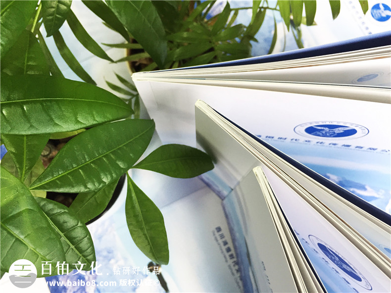 文化傳播公司宣傳冊設計-傳媒公司畫(huà)冊怎么制作