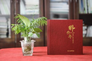 領(lǐng)導新晉升職的工作回憶紀念畫(huà)冊怎么設計