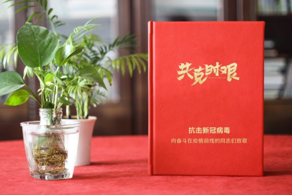 新冠病毒抗疫紀念相冊設計-送奮戰在疫情前線(xiàn)領(lǐng)導同事的留念畫(huà)冊