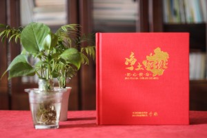 脫貧攻堅工作紀實(shí)紀念冊-送精準扶貧的領(lǐng)導及幫扶單位感謝相冊影集