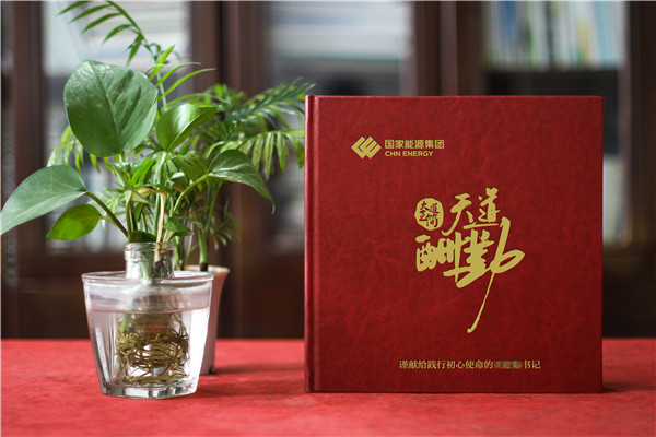 老領(lǐng)導工作的地方個(gè)人工作紀實(shí)畫(huà)冊設計-制作企業(yè)領(lǐng)導相冊集錦