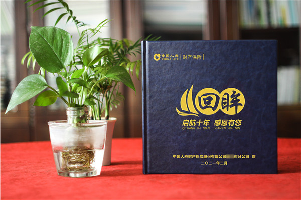 保險公司領(lǐng)導調離影集設計-總經(jīng)理十年工作總結回憶錄紀念冊