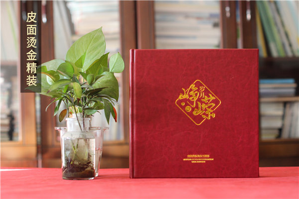 黨支部書(shū)記畫(huà)冊-黨政書(shū)記離退休工作記錄相冊