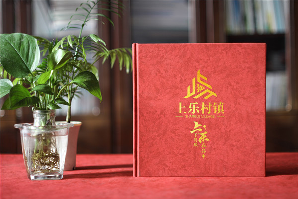 珍藏記憶，感恩同行——鎮領(lǐng)導調任紀念冊