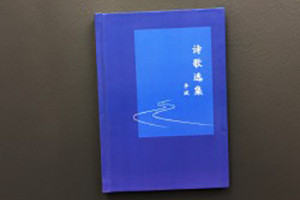 個(gè)人文學(xué)作品集出書(shū)-把文學(xué)詩(shī)歌畫(huà)作攝影集做成書(shū)畫(huà)冊