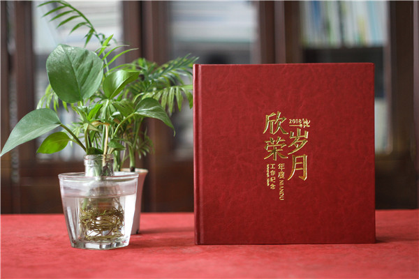 企業(yè)年度工作總結紀念冊-公司領(lǐng)導年會(huì )相冊設計-年末回顧畫(huà)冊制作