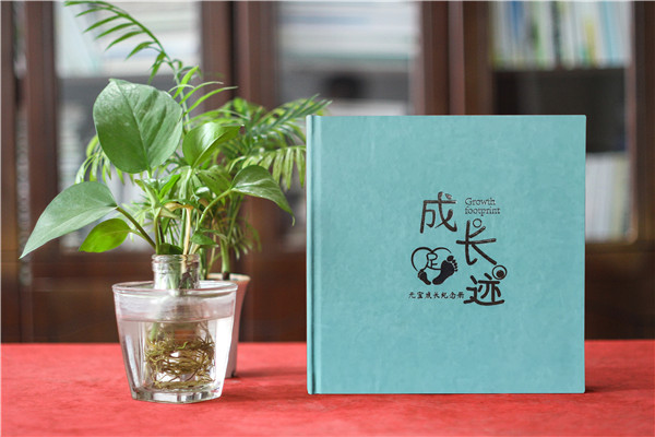 大班幼兒成長(cháng)紀念冊怎么設計?分享一組嬰兒到幼兒園相冊制作圖片