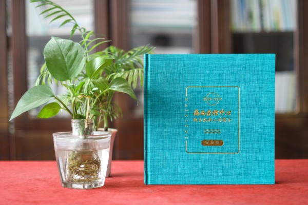 單位工作畫(huà)冊設計排版-團隊一年工作辛苦回憶錄紀念相冊怎么制作?