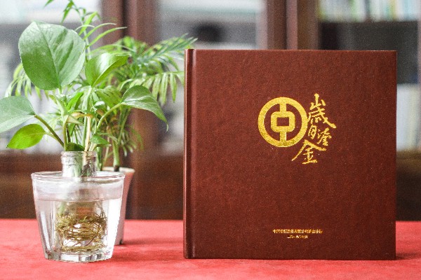 給掛職借調的領(lǐng)導做任職期間工作掠影事跡紀念冊-高升相冊留念設計