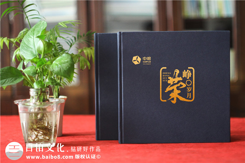 公司領(lǐng)導卸任離崗紀念相冊模板-看精美高檔的影集案例學(xué)怎么排版?