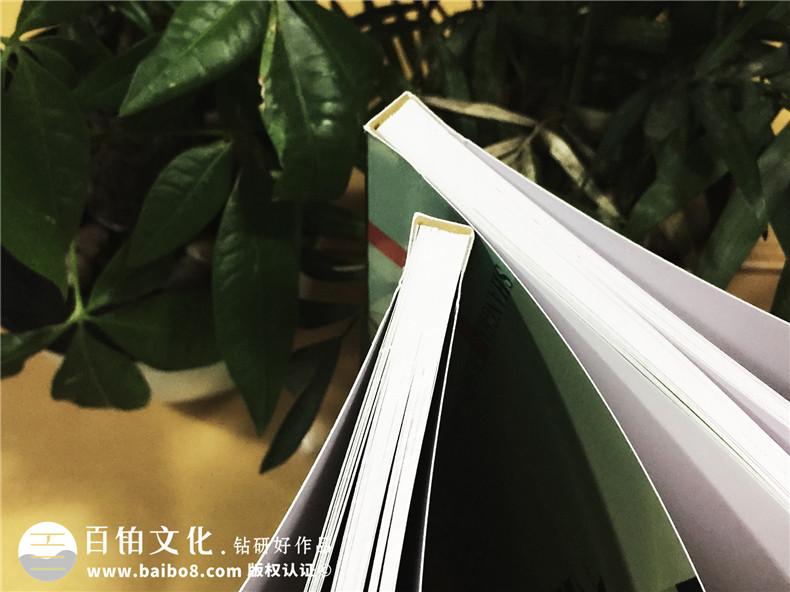 光影的告白-個(gè)人所感所想文集印制出書(shū)-圖文排版