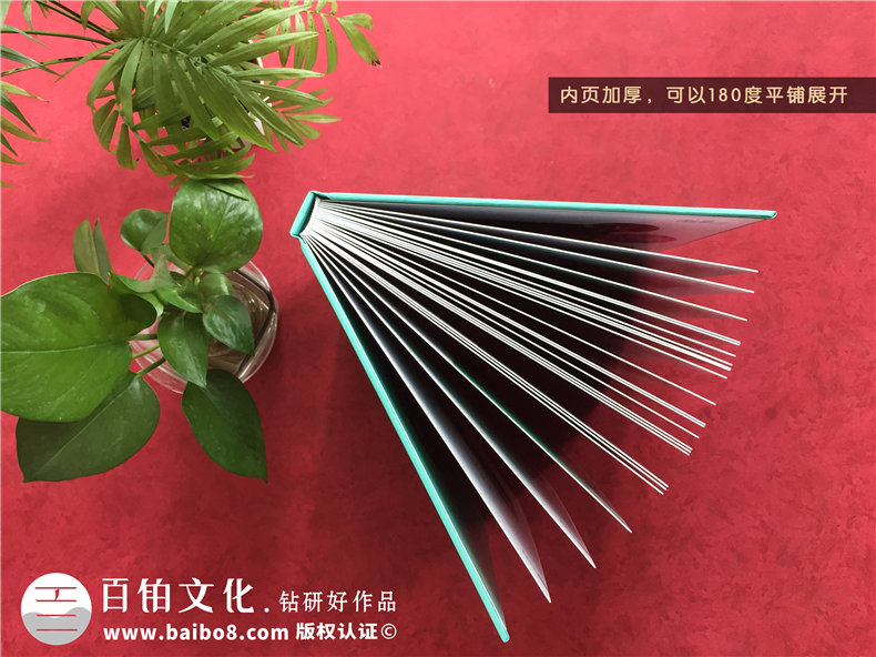 黨政領(lǐng)導工作一周年相冊制作-黨支部書(shū)記離職回顧工作歷程紀念畫(huà)冊