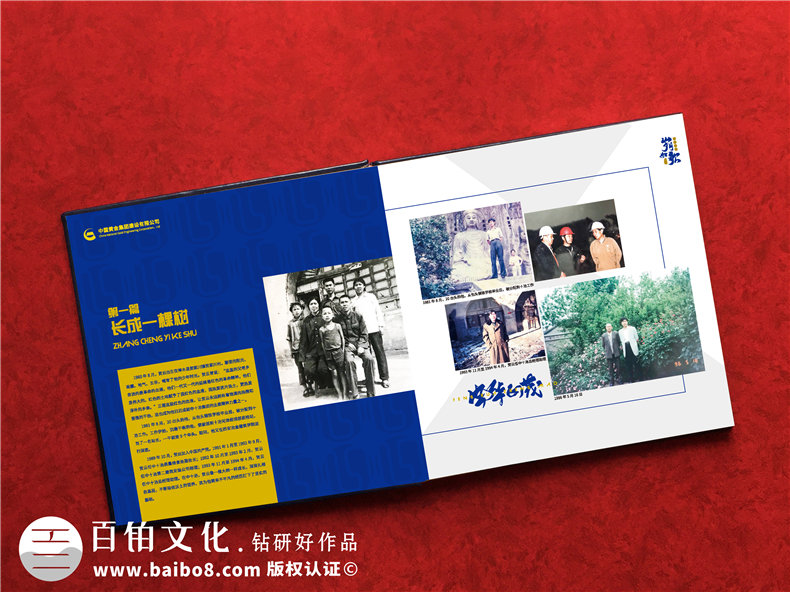 部門(mén)給領(lǐng)導做年度相冊怎么做-領(lǐng)導任期紀念冊