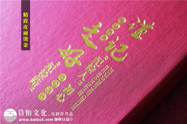 紀檢書(shū)記工作回憶錄畫(huà)冊留影集設計-政府領(lǐng)導掛職調任紀念冊