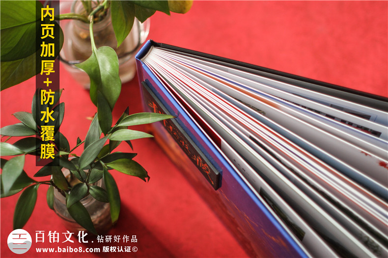 政府部門(mén)領(lǐng)導干部離任升遷畫(huà)冊-政府官員退休送工作紀實(shí)紀念冊影集