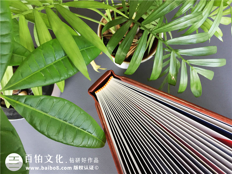 退休紀念冊制作寄語(yǔ) 關(guān)于工作紀念冊制作的感想