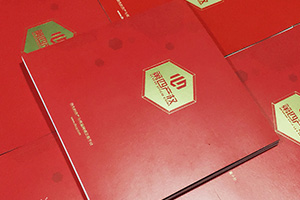 金融公司畫(huà)冊設計 金融行業(yè)宣傳冊設計要怎么做才好呢？