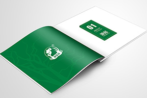 農產(chǎn)品宣傳冊設計 欣賞農產(chǎn)品宣傳冊圖片分析農產(chǎn)品企業(yè)設計特點(diǎn)