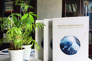企業(yè)畫(huà)冊設計方法分享 專(zhuān)業(yè)的畫(huà)冊設計公司致力于提升企業(yè)品牌！
