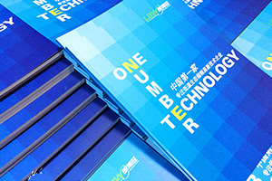 企業(yè)級畫(huà)冊設計 選擇專(zhuān)業(yè)的平面設計公司很重要！