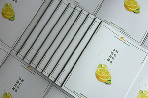 公司宣傳彩頁(yè)制作 怎么提升企業(yè)彩頁(yè)設計水平？